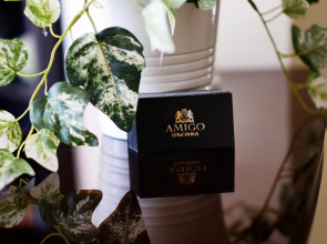 Гостевой дом Amigo на Морской