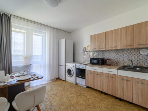 Апартаменты 284 на Успенском Проспекте