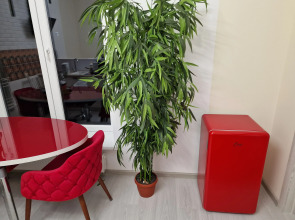 Квартира БалтАтлантик номер в стиле Красный Дракон