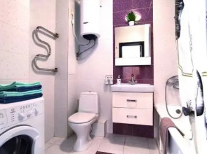 Апартаменты Татьянин дом улица Павла Морозова,89 (1)