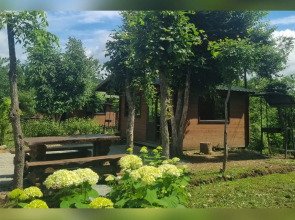 База отдыха парк отдыха Лесное озеро