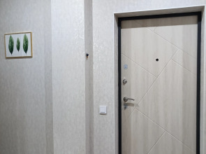 Квартира Просторная Евродвушка в Хабаровске