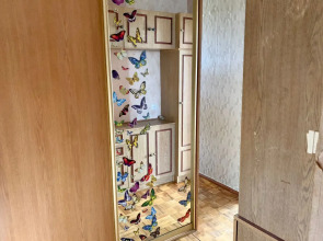 Двухкомнатная квартира в центре города