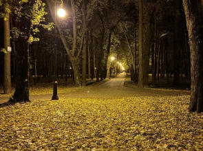 Апартаменты в ЖК Парк Челюскинцев