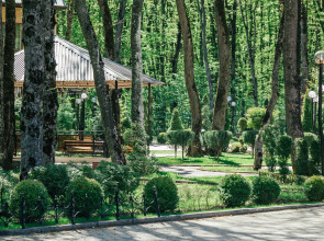 Отель Лесная поляна