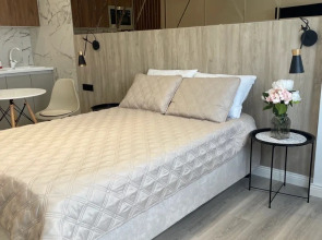 ДзенХоум Отражение 709