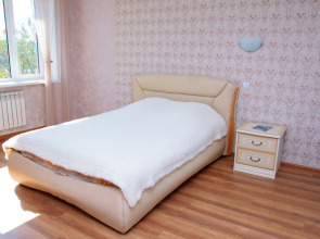 Квартира Avangard Apartment on Сentral Street