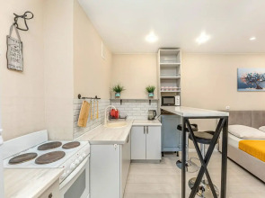 Квартира Уютная студия на Университетской Набережной