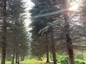 Санаторий Озон