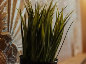 Гостевой дом Николина усадьба