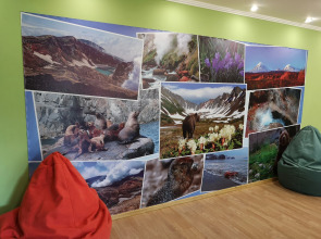 Мини-отель Шаде