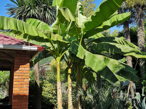 Гостевой дом Форелька