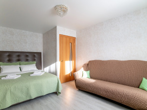 Апартаменты Однокомнатные в Павловском Посаде