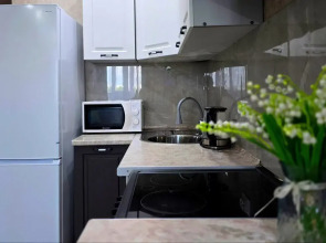 Квартира Евродвушка в Новостройке