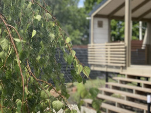 Частный Дом RiverDublDom  с баней и купелью у пруда в Новой Москве