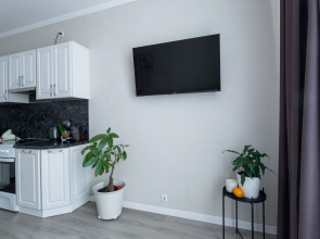 Квартира Homely у Лесной Satin home