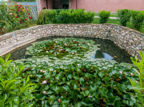 Гостевой Дом Приют Странника