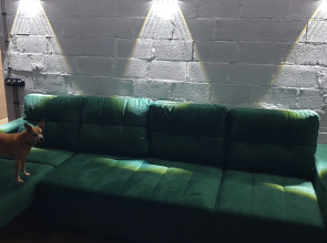 Апартаменты Green Lamp Downtown