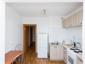 Апартаменты 1-ком. квартира на Емельянова 35А (3)