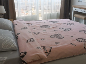 Апартаменты Однокомнатная квартира в центра Воронежа