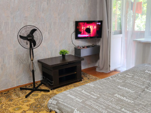 Квартира Уютная в Центре Владимира