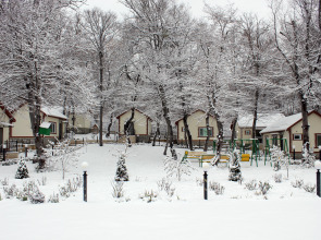 Отель Selena Resort