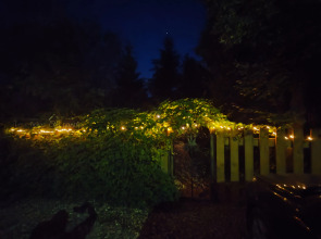 Бунгало Пляжный домик