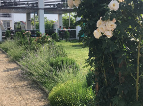 Гостевой дом Гранд камелия