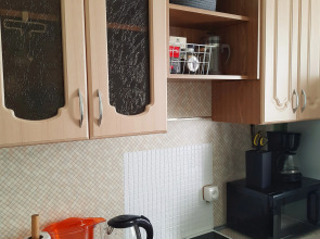 Апартаменты Рыжий Кот возле Парка