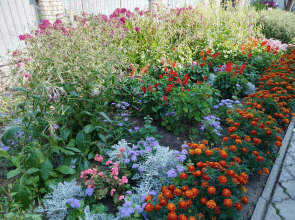 Гостевой дом Спасс