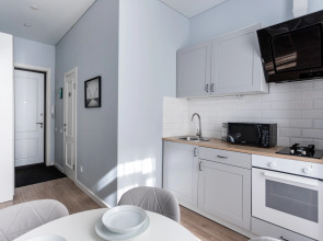 Апартаменты Сканди хаус классический люкс