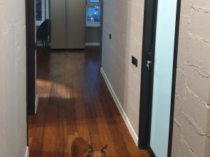 Апартаменты Green Lamp Downtown