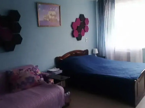 Апартаменты Уютная квартира в центре города