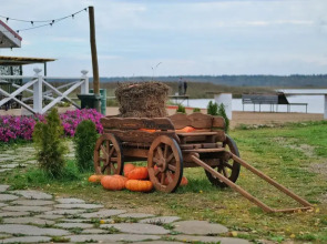 Гостевой дом Дикий Гусь