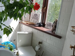 Гостевой дом Башня в Царицыно