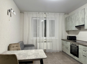 Квартира Элегантная Евро 2 у Платоновского