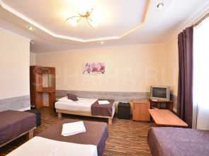 Франт Отель Замок