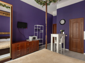 Апартаменты Студия Классическая на Василеостровской