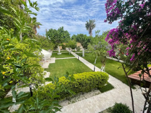 Мини-отель Alican Pension