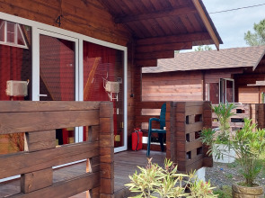 Курортный отель Сосновый Бор