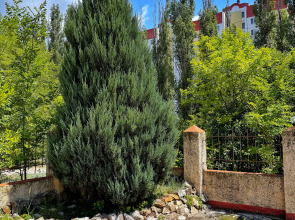 Апартаменты Такима