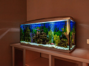 Квартира ApartHause у Екатеринбург-Арена и Госпиталя МВД