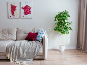 Апартаменты ROOM TOUR в историческом центре Тюмени