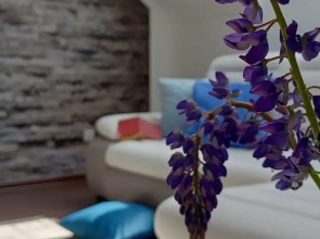 Квартира SEA Apartments