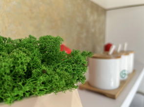 Апартаменты Панорамик грин хаус