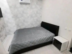 Апартаменты На Московском 44