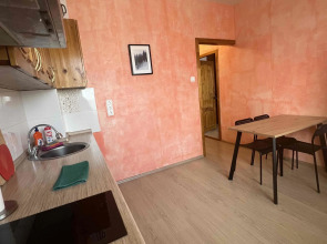 Апартаменты на Склизкова 116