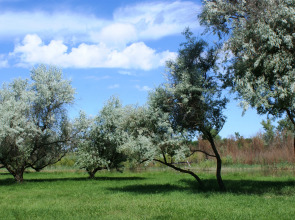 Гостевой Дом Берлога