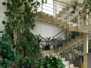 Апартаменты MyhomeYourhome на 27-й линии В.О. д.16