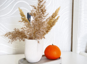 Апартаменты Тропическая Студия